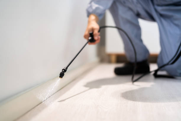 Licensed Mosquito Control service in Central Heights-Midland City, AZ - Show Me Pest Control