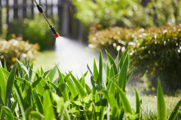24/7 Emergency Mosquito Control experts in Central Heights-Midland City, AZ
