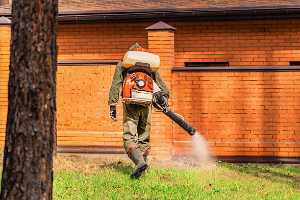 Top rated local Mosquito Control specialists in Central Heights-Midland City, AZ